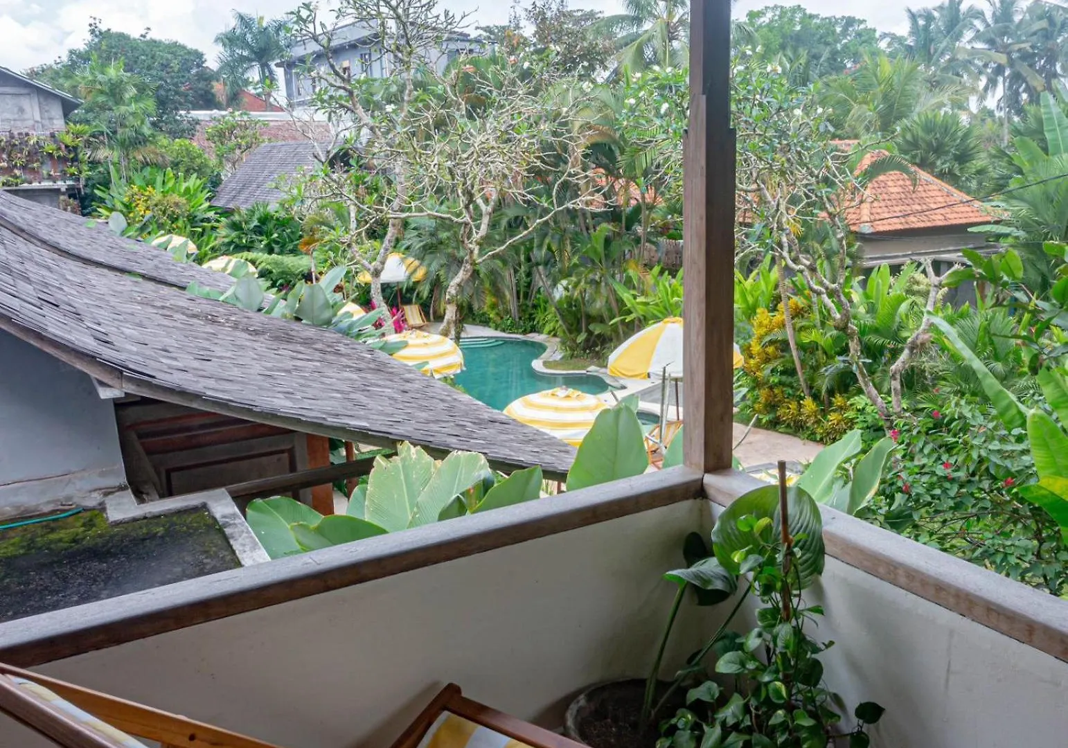 Shelter Island Hotel Ubud  0*, Ubud (Bali)